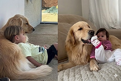 O que já era bom conseguiu ficar perfeito