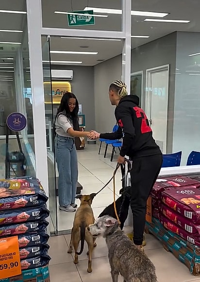 Os cães também tiveram um dia especial de cuidado e carinho.