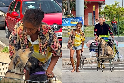 “Ela achava que tinha sido esquecida”: Influencer transforma dia de mulher e cuida também de seus três cães.
