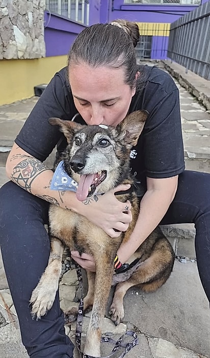 Sheik com a veterinária Danielly Savi.