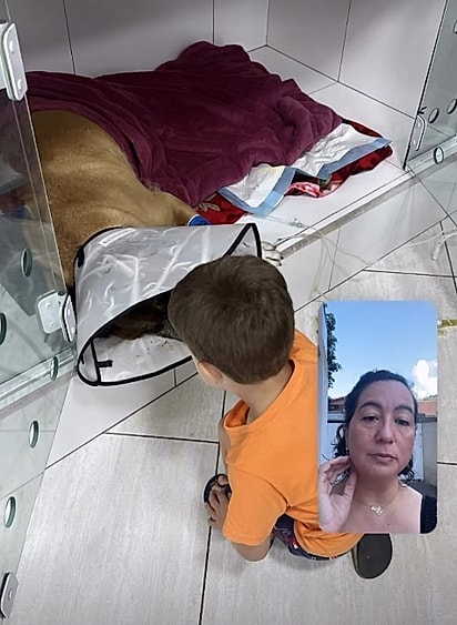 Bartolomeu segue lutando pela vida.