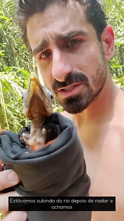 O conservacionista salvou o tucano.