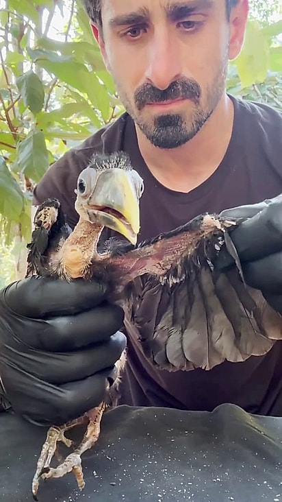 Lucas estava com parasitas e desidratado.