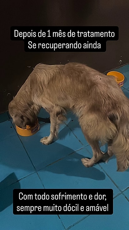 Lucy estava muito magra.