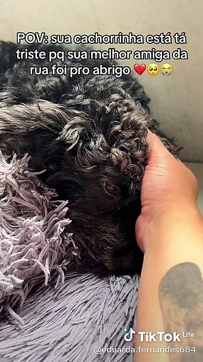 Meg sentiu falta da amiga.