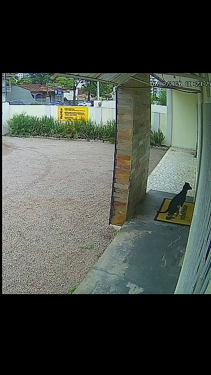 A chegada dela foi registrada por câmeras de segurança.