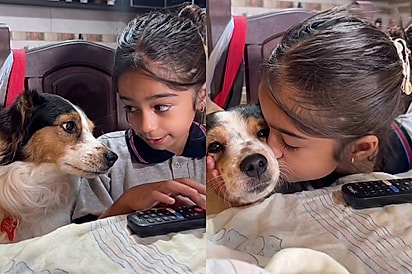 Ela está vivendo um dos momentos mais lindos da vida: Menina conta para melhor amigo como foi seu primeiro dia de aula