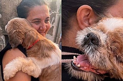 Não era só uma adoção, era um destino: Protetora se emociona ao ver felicidade de cachorrinho ao abraçar futura adotante