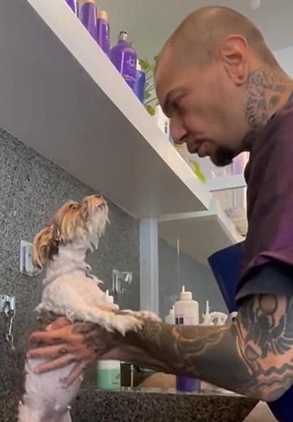 Lincoln cantando para Lua.