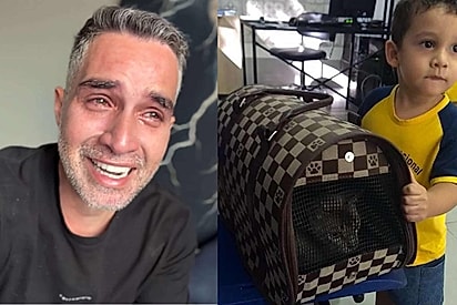“Eram só 4 dias, mas viraram 10 anos”: Jornalista que caiu no golpe do lar temporário faz desabafo ao ver gata lutar pela vida