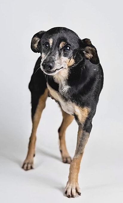 Josué participou de sessões de fotos em estúdio.