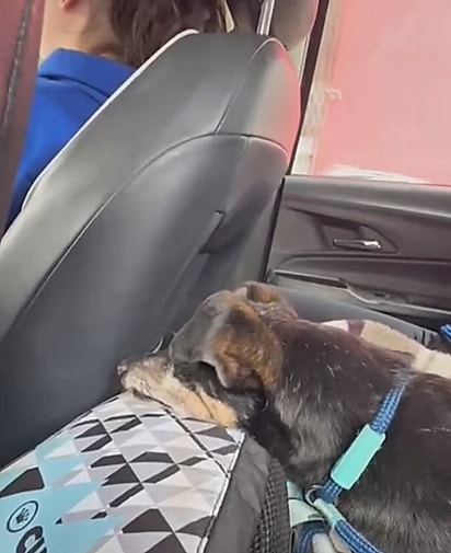 Josué teve que voltar para Porto Alegre.