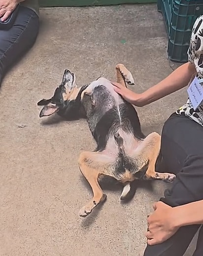 Josué era muito carinhoso.