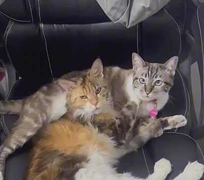 Jaqueline em seu antigo lar.