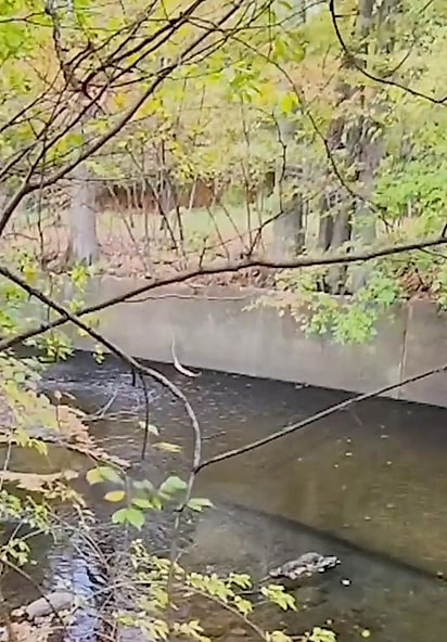 O muro tinha cerca de 1,80 metro de altura.