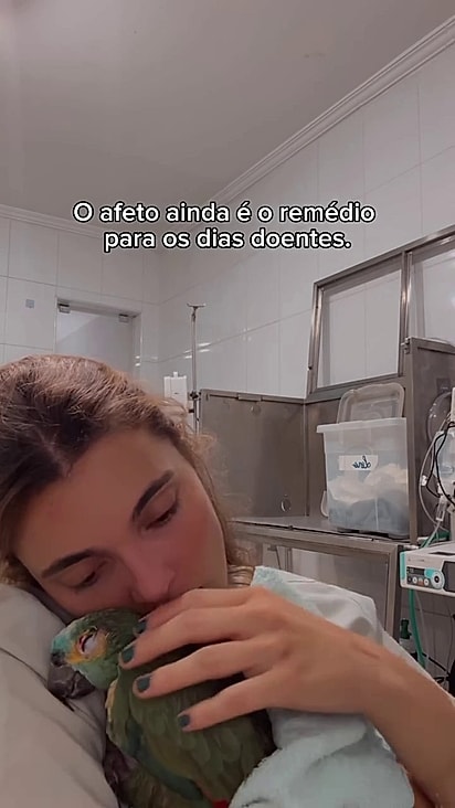 O papagaio estava em tratamento neurológico.
