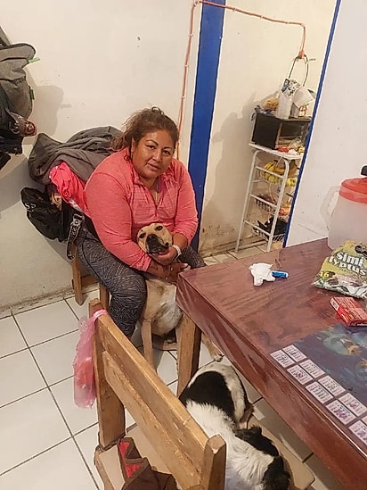 Maya recebendo o carinho da tutora.