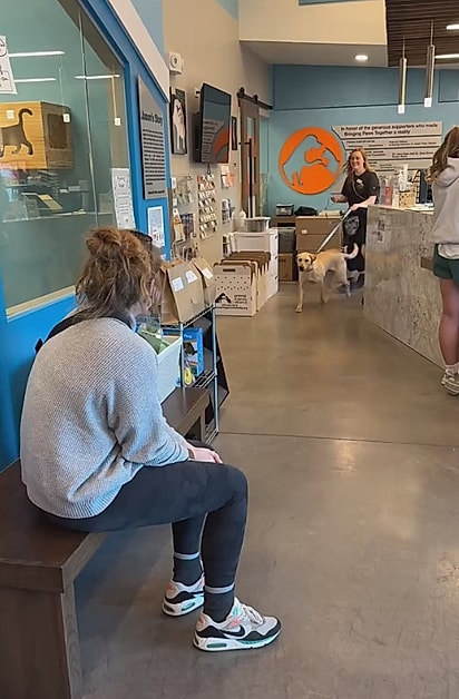 Momento em que Sarah encontra Banjo no abrigo.