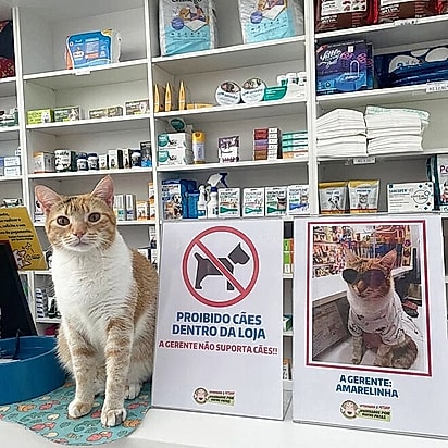 A placa que a gerente colocou na recepção.