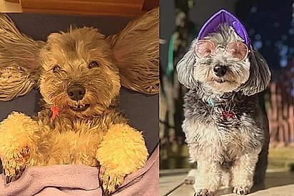 Margarida atualmente vive como uma princesa.