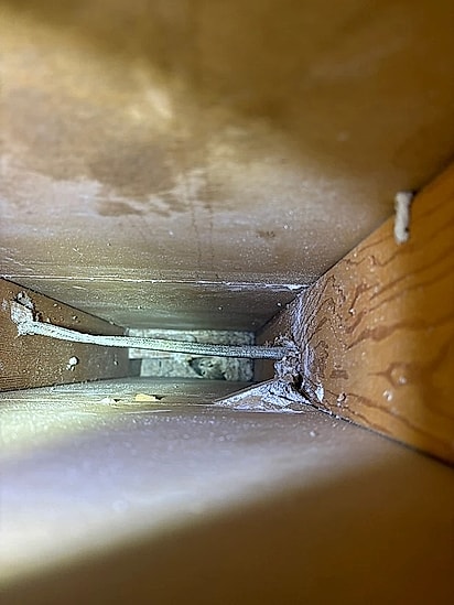 Havia um gatinho no buraco da parede.