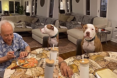 Klaus na mesa com a família.