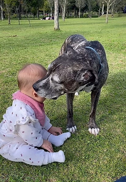 Sofi cresceu cercada de carinho.