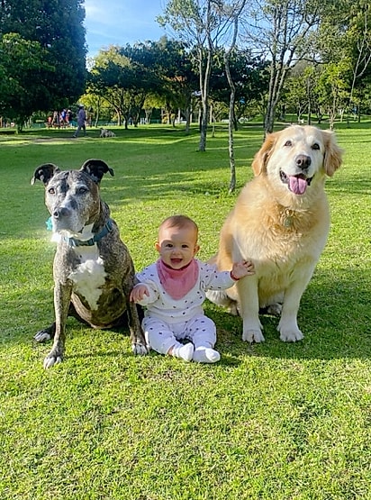 Molly se tornou a líder da matilha
