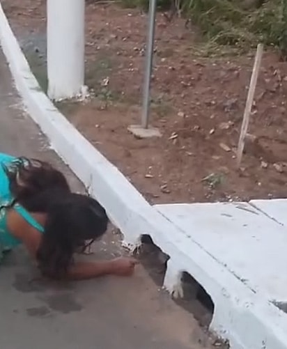 Leia tentando chamar o filhote para fora.