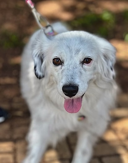 Segundo a tutora, Judite tem atitudes que lembram a filha do casal.