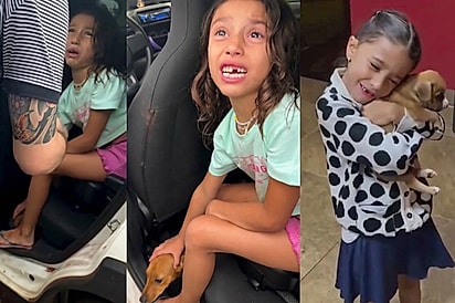 “Essa menina merece o mundo!”: Maria Alice se desespera ao não poder ficar com cachorrinho, mas surpresa muda tudo