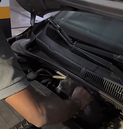 O zelador pegou o felino.