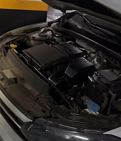 Dentro do carro havia um gatinho.