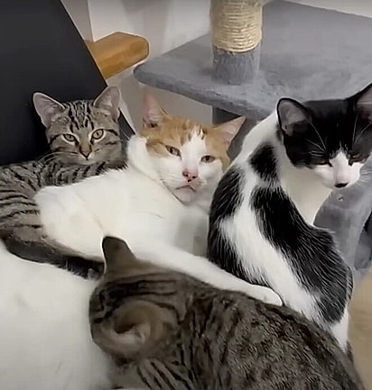 Liam se mostrou um irmão mais velho amoroso. 