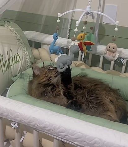 Mavie testando e aprovando o berço do bebê.