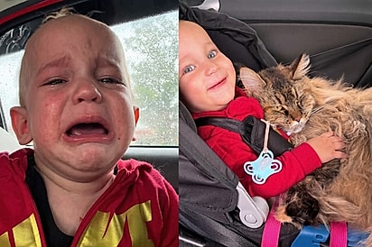 “A ligação deles é coisa de outro mundo”: Bebê não para de chorar no carro até receber sua melhor amiga no colo