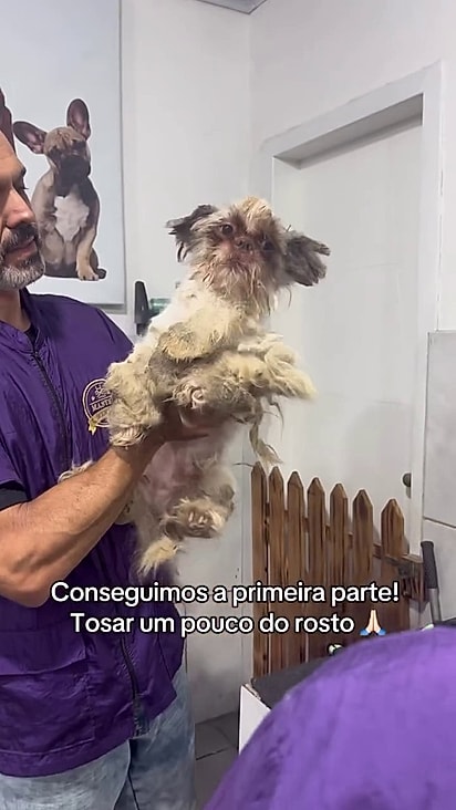 A gravidade dos nós indicavam negligência de longa data.