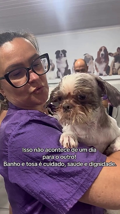 A equipe conseguiu livrá-los do pelo enosado.