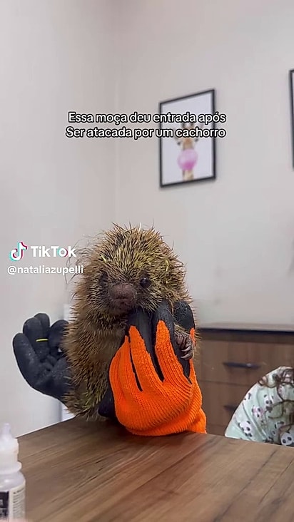 A equipe prestou o melhor atendimento à ela.