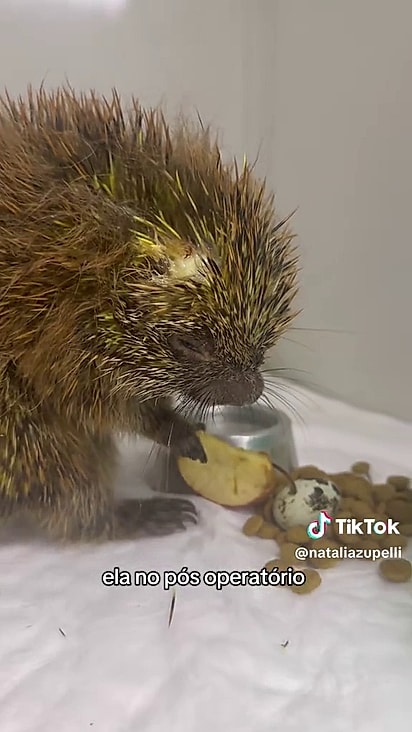 Segunda Natalia ela estava se recuperando bem.
