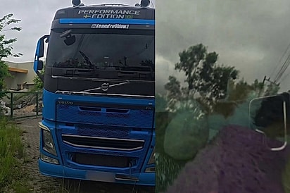 O dia de vocês está ruim? Espera até ver o meu: Caminhoneiro passa perrengue causado por filhotes dentro do caminhão