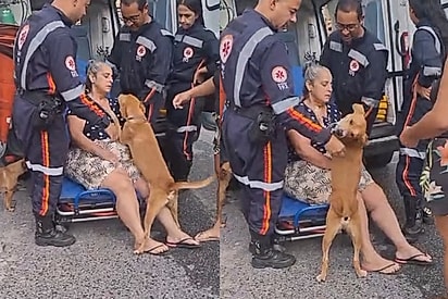 Protetora se sente mal e caramelo a protege e não deixa ninguém se aproximar