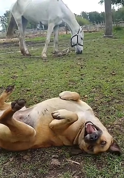 Ami feliz, ao lado de Sofia.