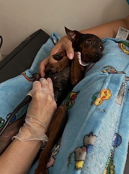 A cena comoveu os internautas.