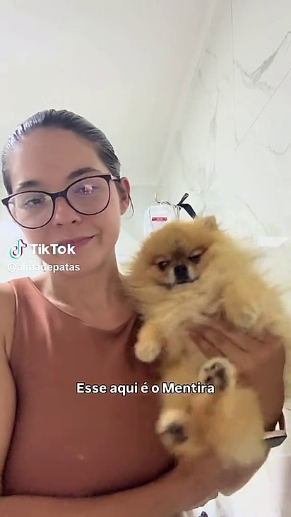 O cãozinho foi descartado.