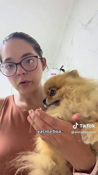 Ele não tinha serventia ao canil.