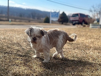 Norma aprendeu a viver sem a visão.