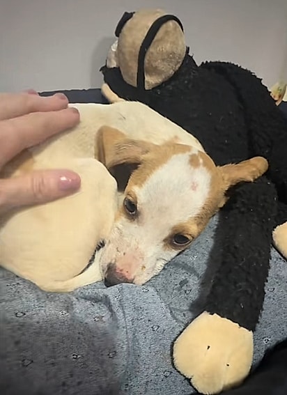 Tunico era muito quieto.