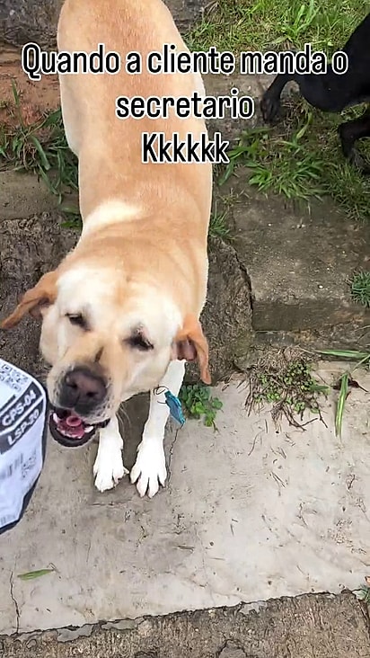 Ele já sabe que precisa buscar a encomenda.