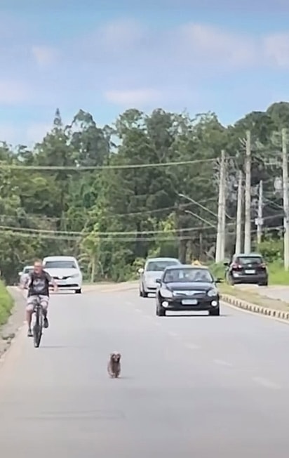 Frederico surgiu correndo em uma avenida movimentada.